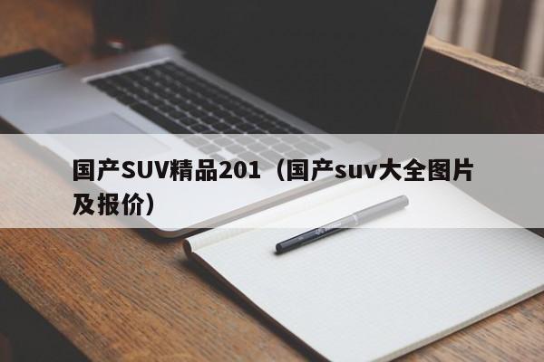 国产SUV精品201（国产suv大全图片及报价）