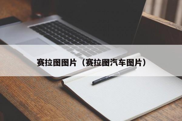 赛拉图图片（赛拉图汽车图片）