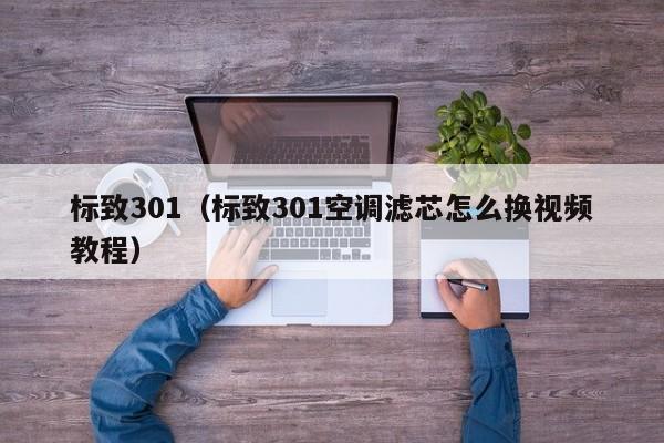 标致301（标致301空调滤芯怎么换视频教程）