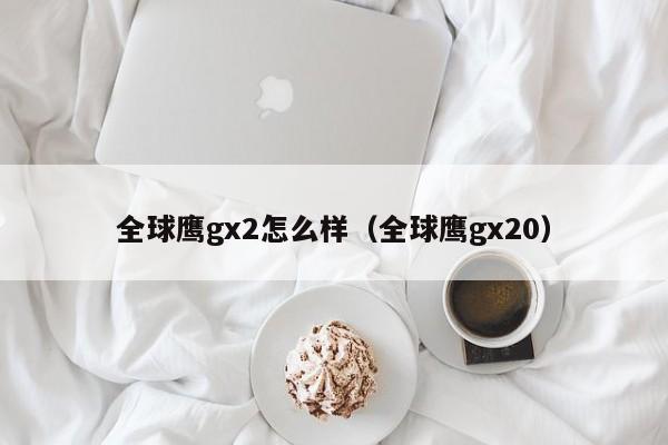 全球鹰gx2怎么样（全球鹰gx20）