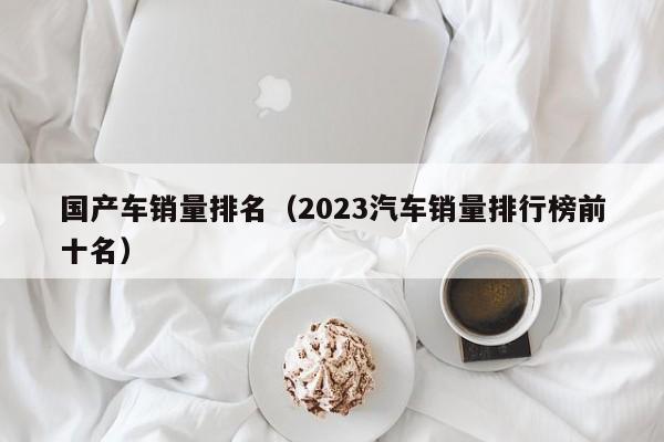 国产车销量排名（2023汽车销量排行榜前十名）