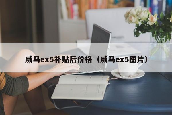 威马ex5补贴后价格（威马ex5图片）