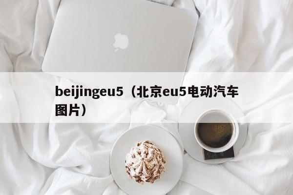 beijingeu5（北京eu5电动汽车图片）