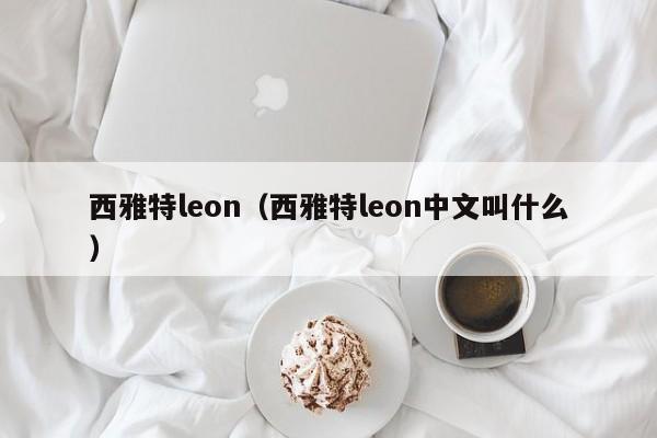 西雅特leon（西雅特leon中文叫什么）