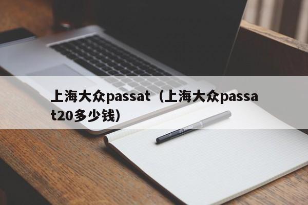 上海大众passat（上海大众passat20多少钱）