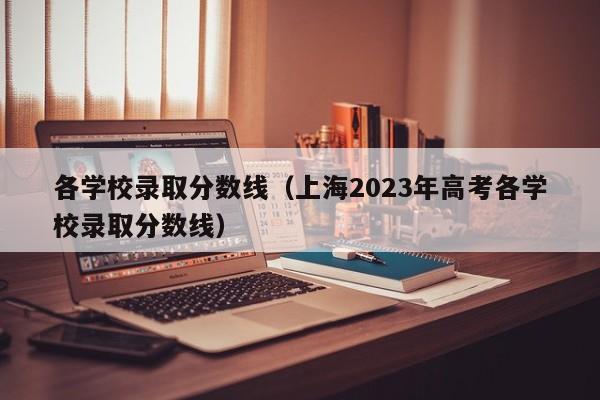 各学校录取分数线（上海2023年高考各学校录取分数线）