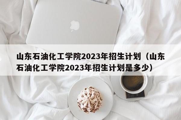 山东石油化工学院2023年招生计划（山东石油化工学院2023年招生计划是多少）