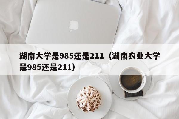 湖南大学是985还是211（湖南农业大学是985还是211）