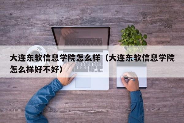 大连东软信息学院怎么样（大连东软信息学院怎么样好不好）