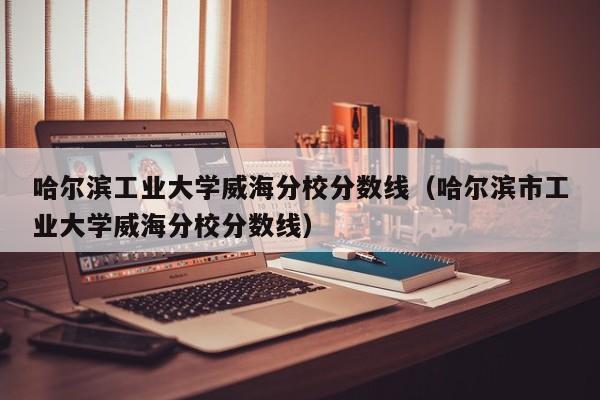 哈尔滨工业大学威海分校分数线（哈尔滨市工业大学威海分校分数线）