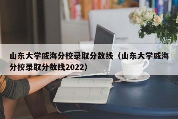 山东大学威海分校录取分数线（山东大学威海分校录取分数线2022）