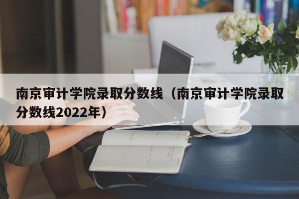 南京审计学院录取分数线（南京审计学院录取分数线2022年）