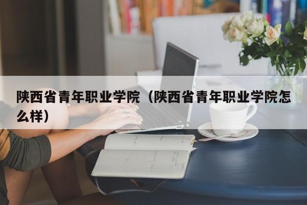 陕西省青年职业学院（陕西省青年职业学院怎么样）