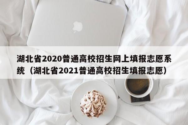 湖北省2020普通高校招生网上填报志愿系统（湖北省2021普通高校招生填报志愿）