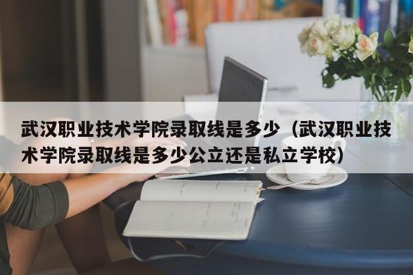 武汉职业技术学院录取线是多少（武汉职业技术学院录取线是多少公立还是私立学校）