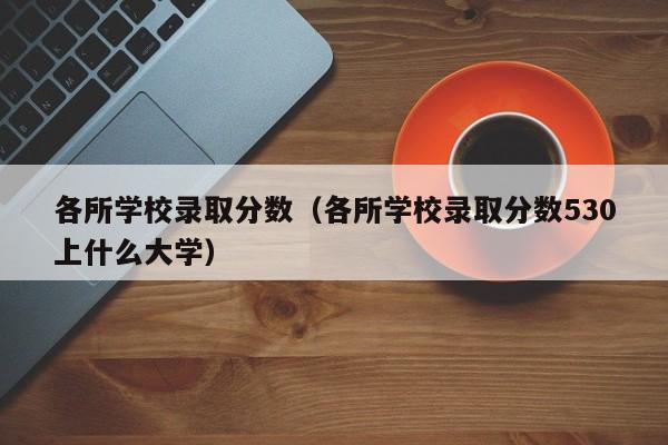 各所学校录取分数（各所学校录取分数530上什么大学）