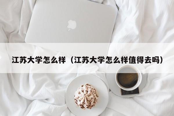 江苏大学怎么样（江苏大学怎么样值得去吗）