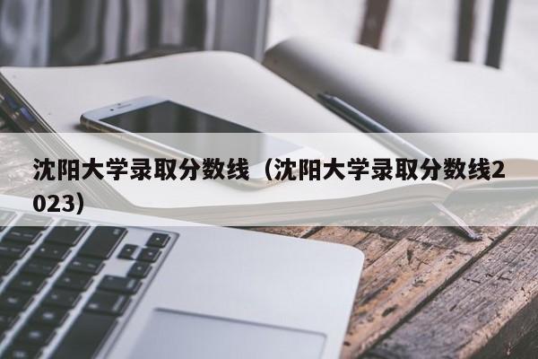 沈阳大学录取分数线（沈阳大学录取分数线2023）